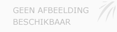 Afbeelding › Desteldent